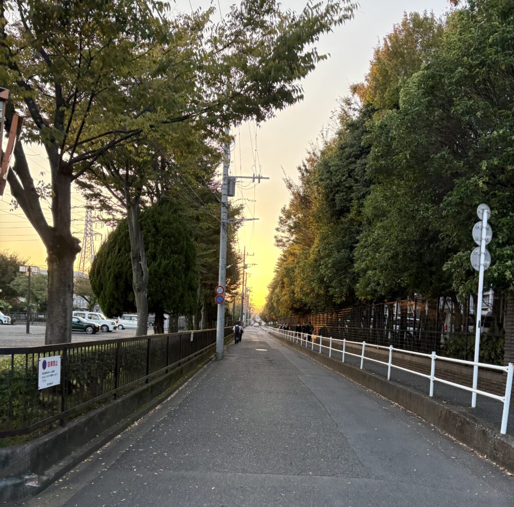 玉川上水の夕日